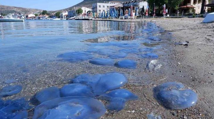 İzmir'den kötü kokular gelmeye başladı! Felaket yaşanabilir