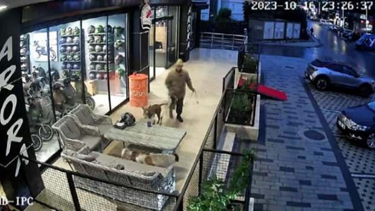 Avcılar’da pitbullu bıçaklı saldırgana gözaltı