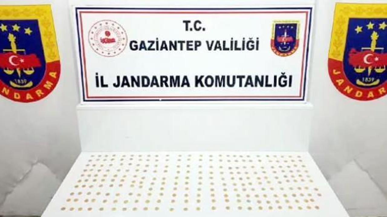 Gaziantep’te 245 sikke ele geçirildi