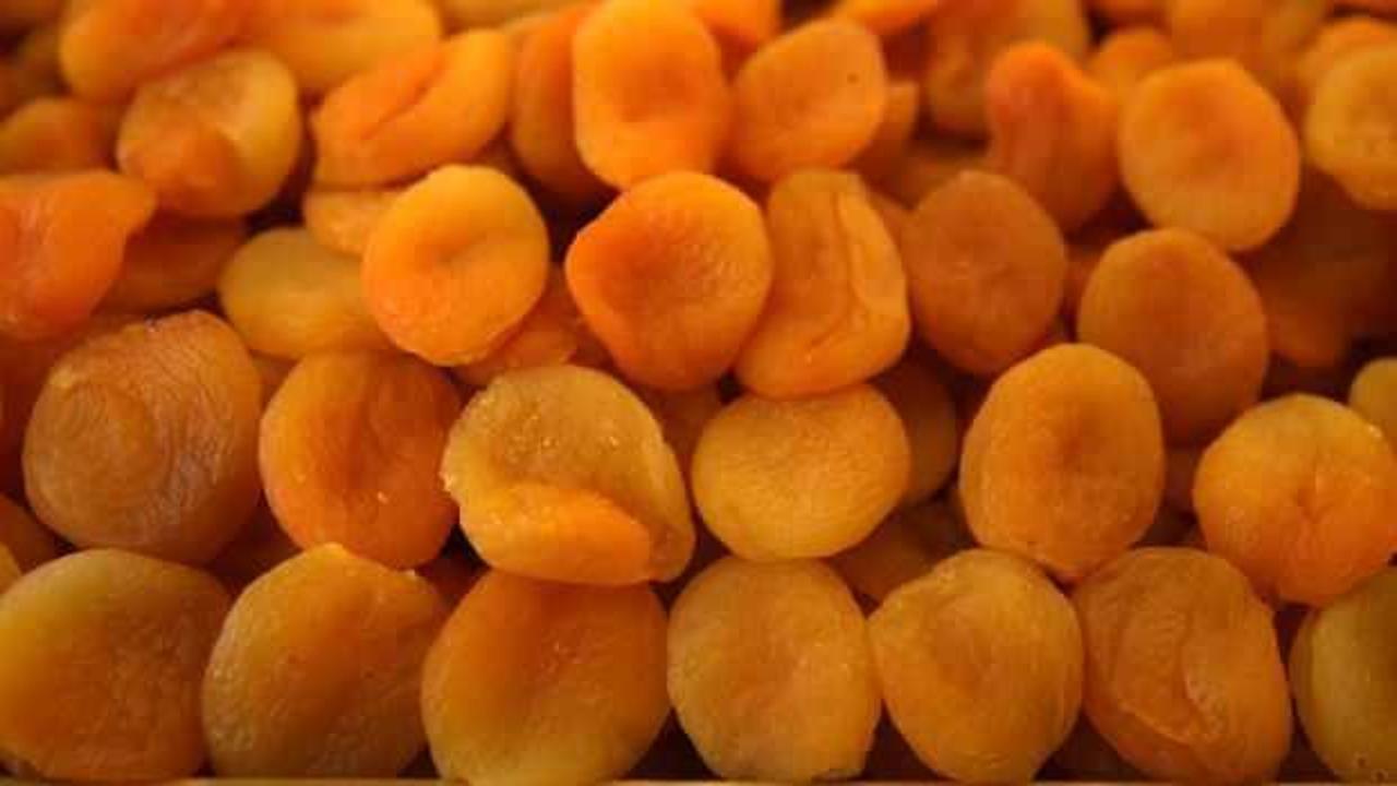 Kuru kayısı ihracatından 290 milyon dolar gelir