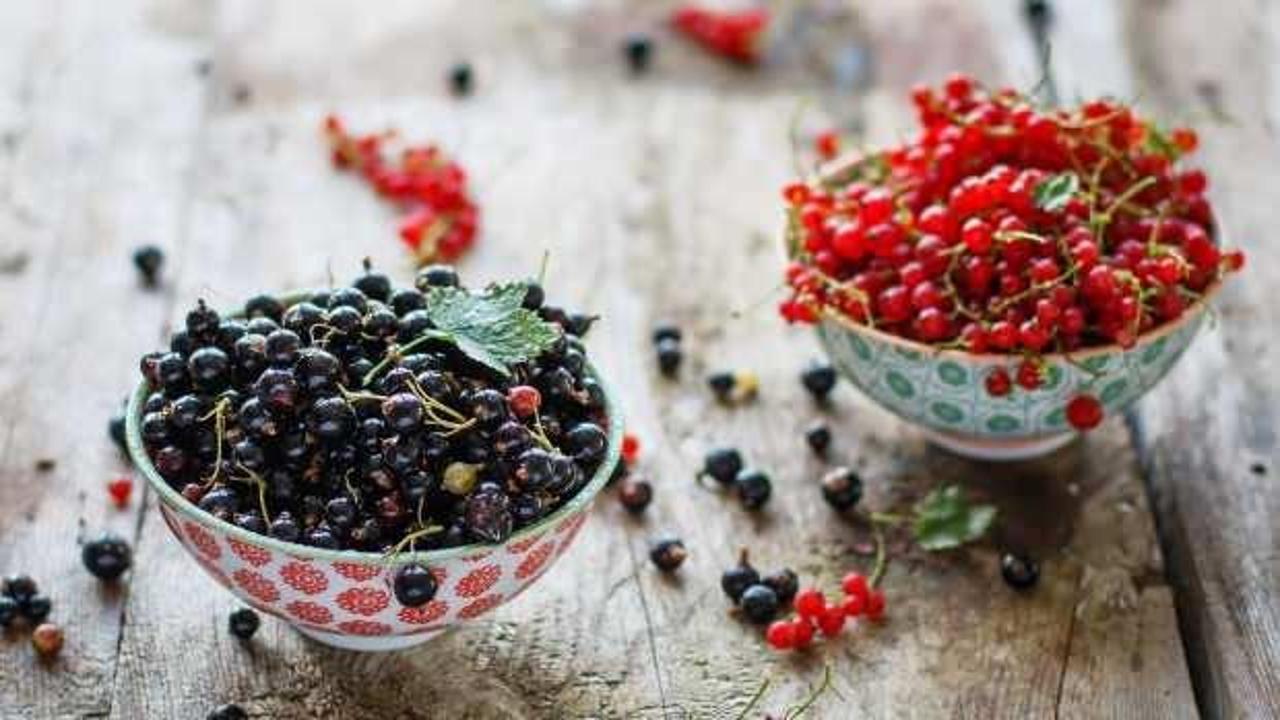 Kuş üzümü faydaları nelerdir? Kuş üzümü nerede yetişir, nasıl tüketilir?