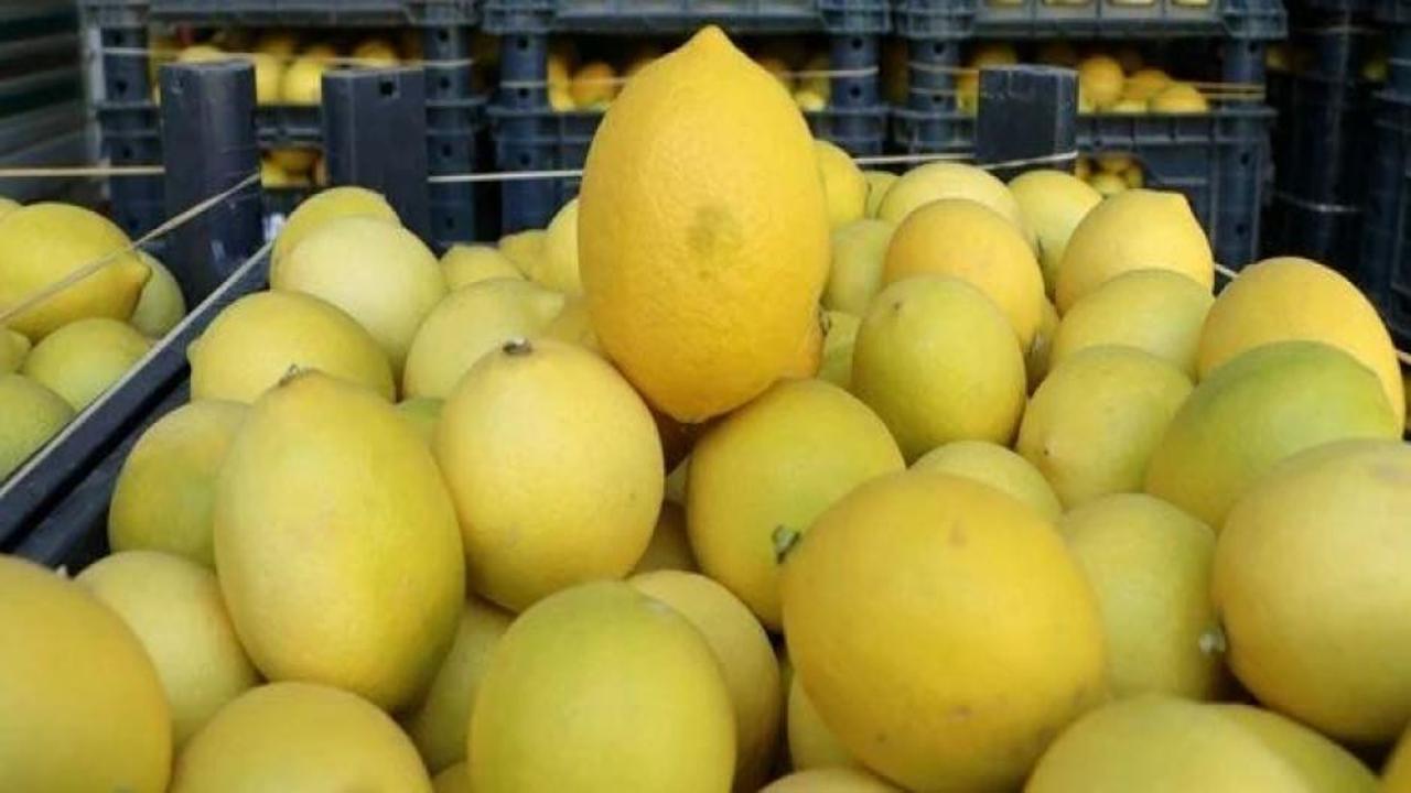 Limonda üretici-market fiyatı farkı 4,5 kat