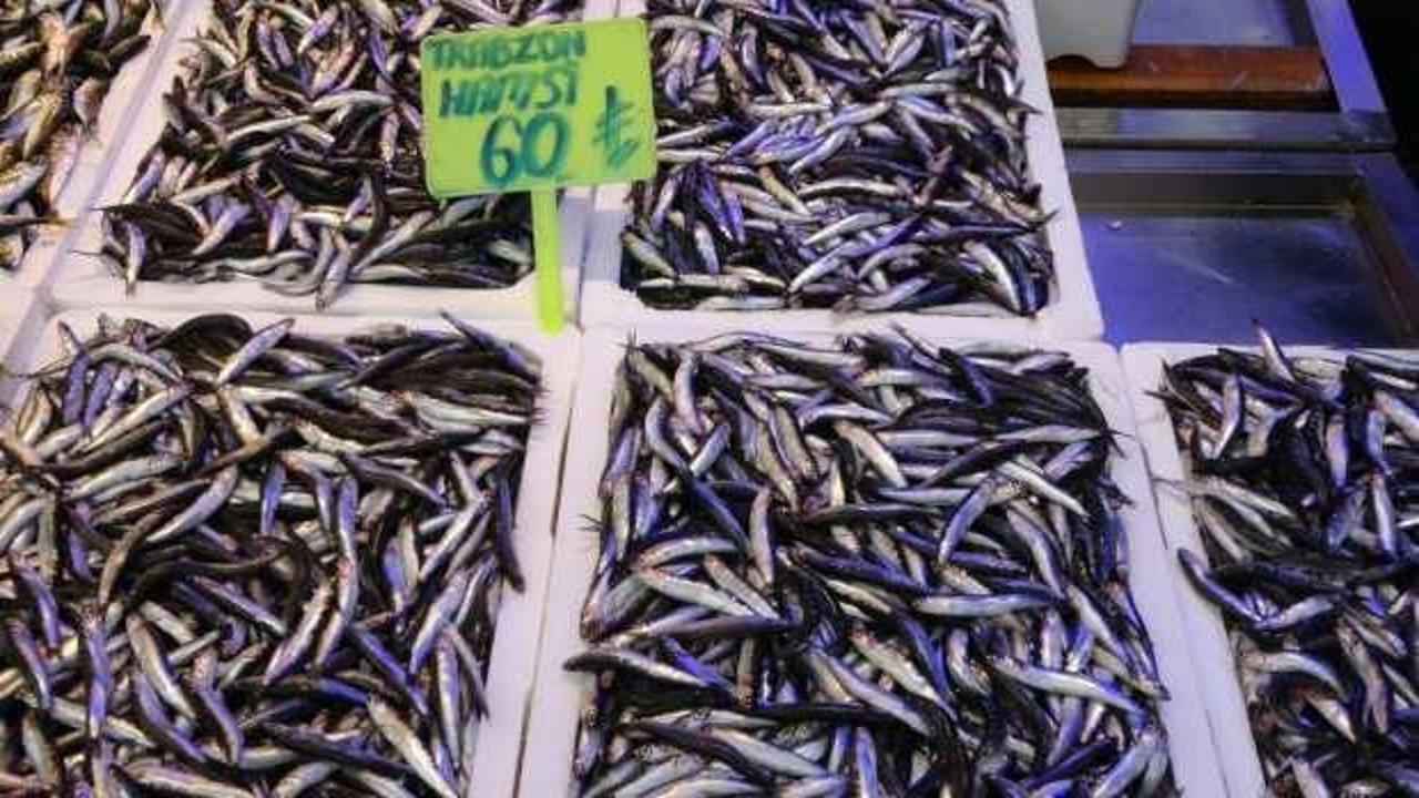 Trabzon hamsisi tezgâhlara indi, vatandaş balık haline akın etti
