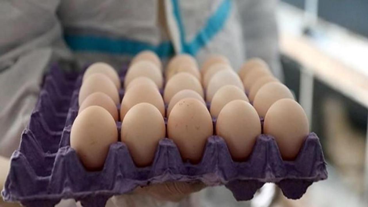 Yumurta üreticilerinden sözlü savunma