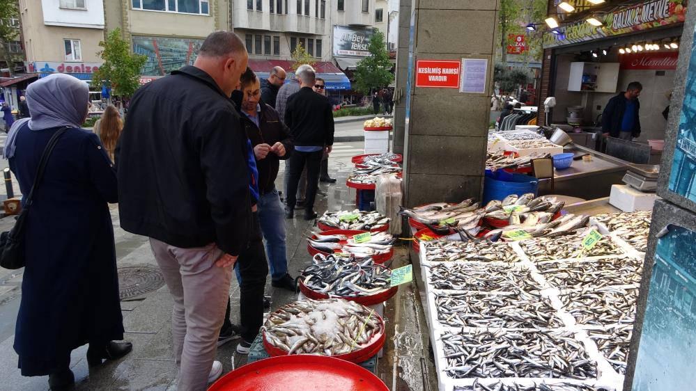 Hamsi sezonu sürüyor, palamut sezonu ise bitti