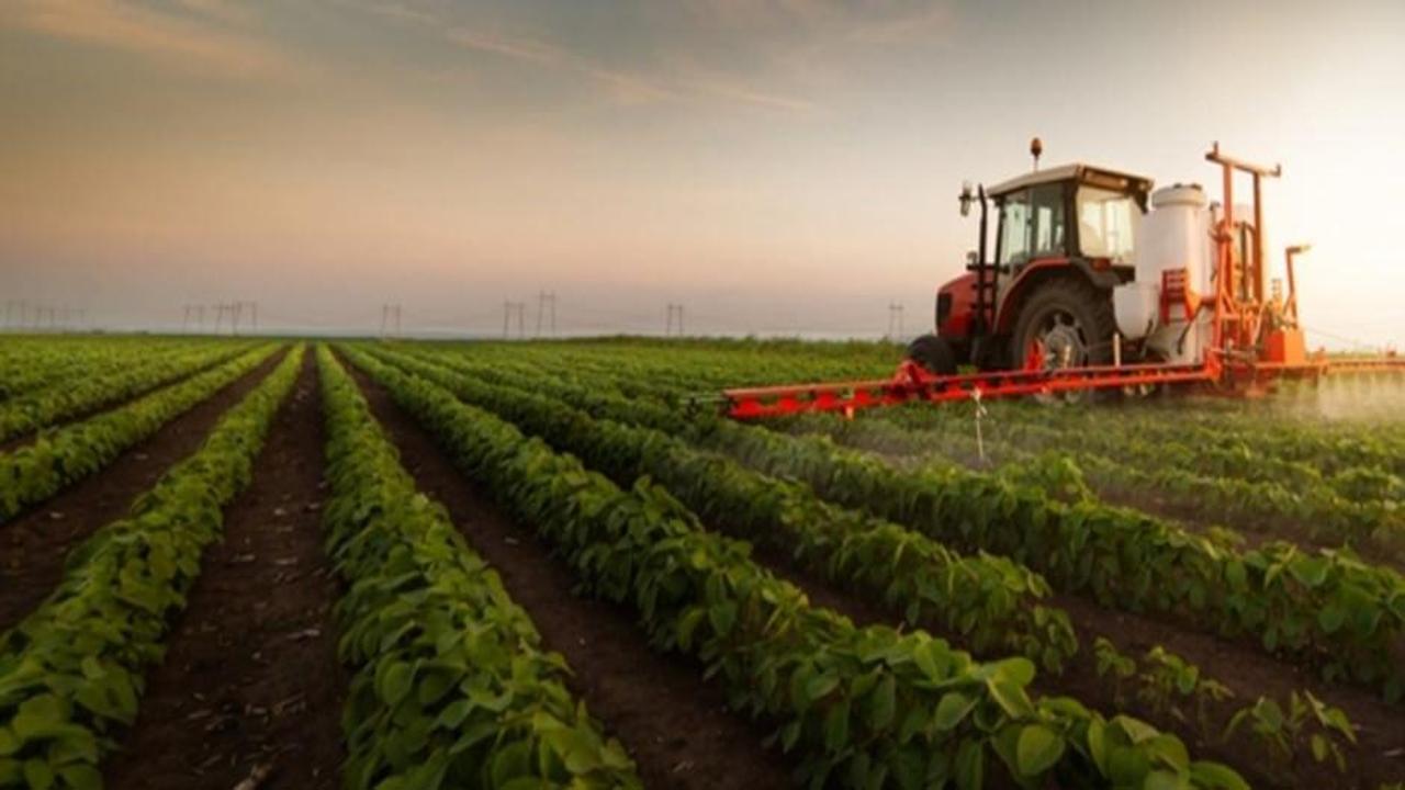 Tarımsal destek ödemesi bugün çiftçilerin hesabına aktarılacak
