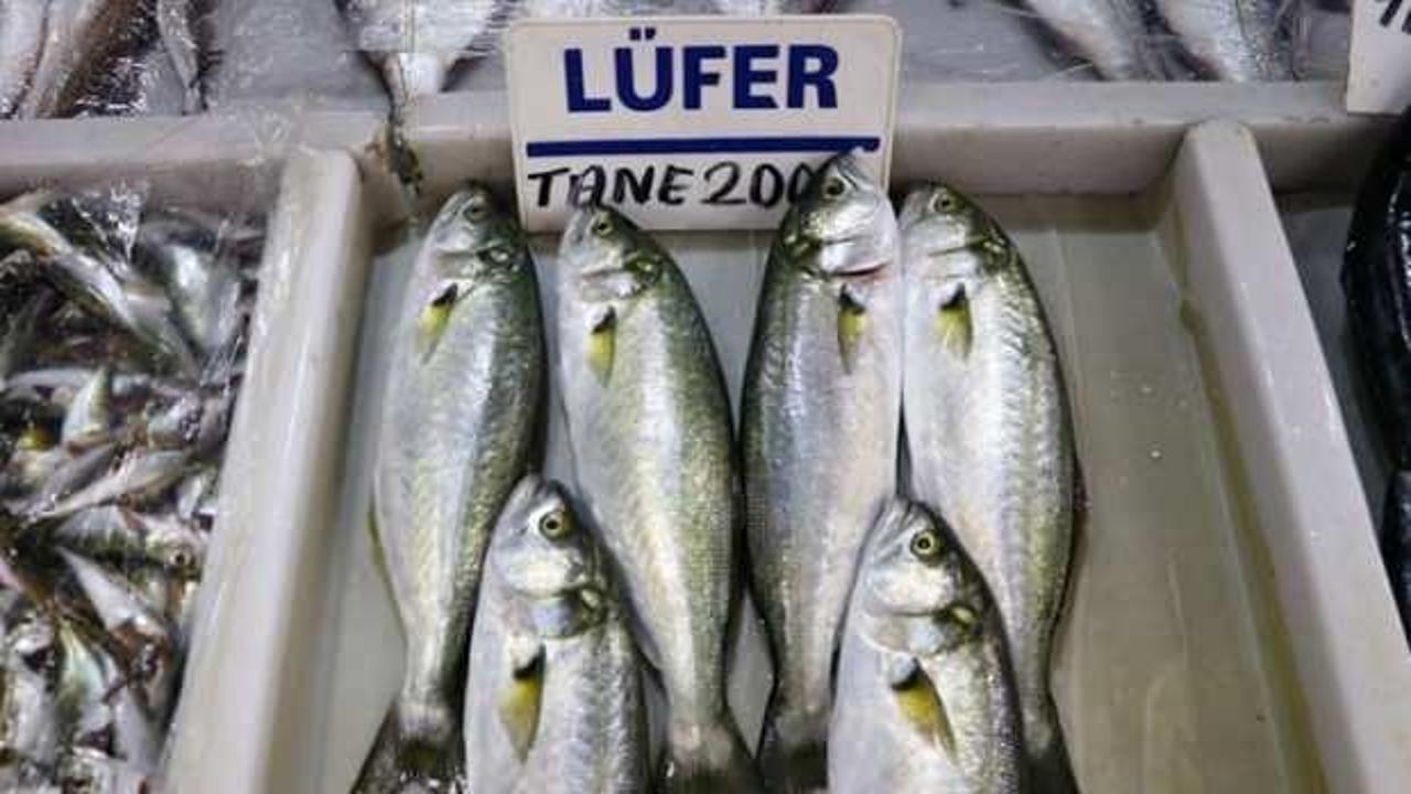 Lüferdeki bolluk fiyatlara yansıdı