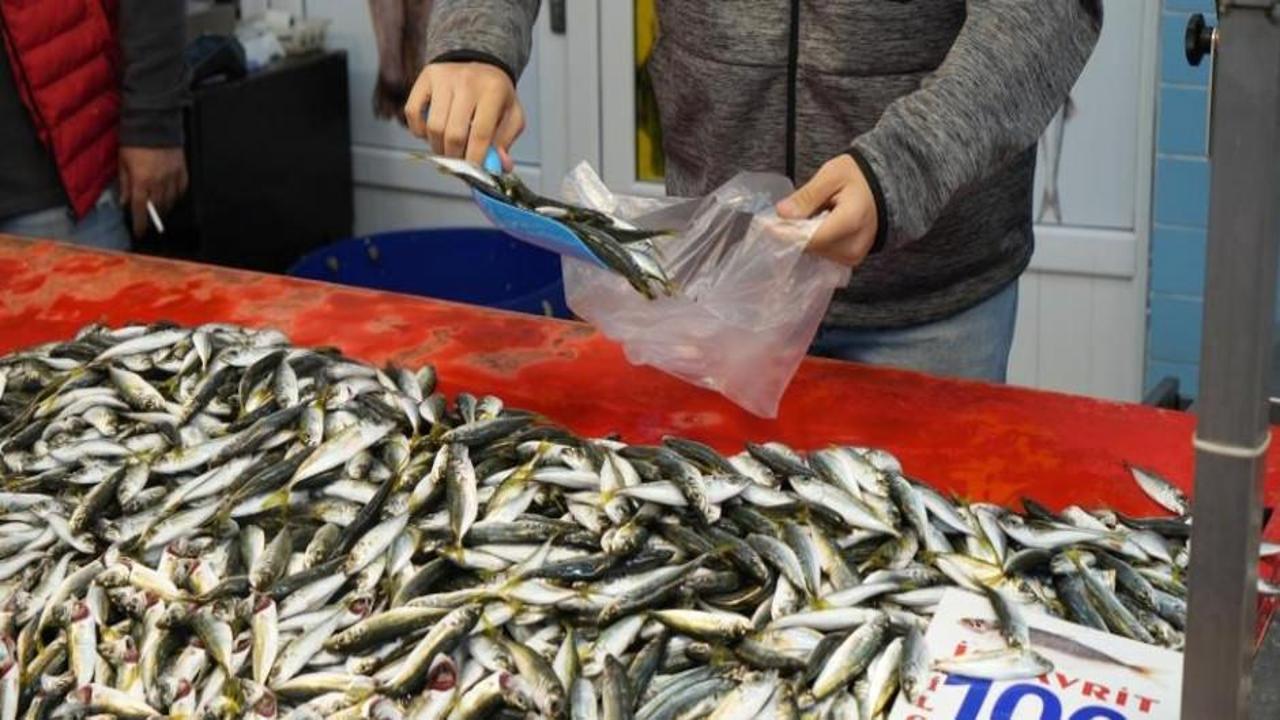 Hamsiye fırtına zammı