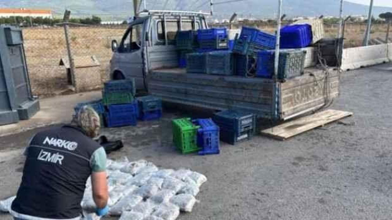 Kamyonetteki meyve kasalarının altından 21,5 kilo skunk çıktı