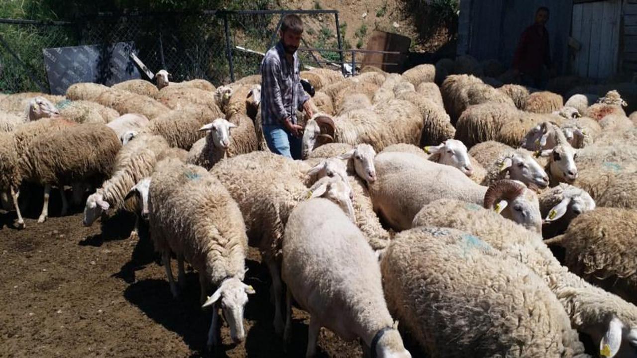 Bakan Yumaklı: 2023’te hayvancılık destekleri yüzde 150 oranında arttı