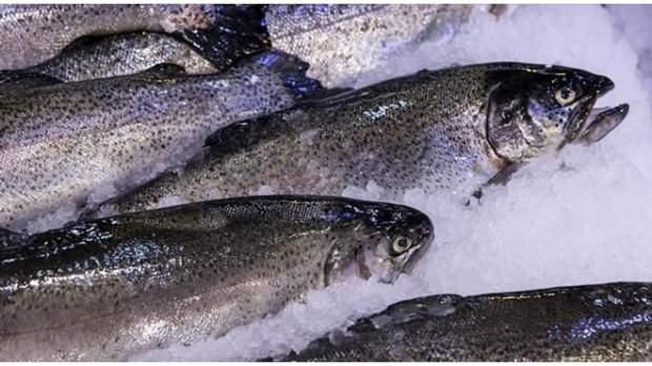 Su ürünleri ihracatında hedef belli oldu! Bakan duyurdu