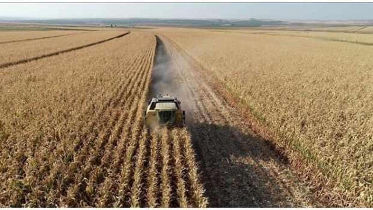 Tarımsal girdi fiyatları eylülde yüzde 2,63 arttı