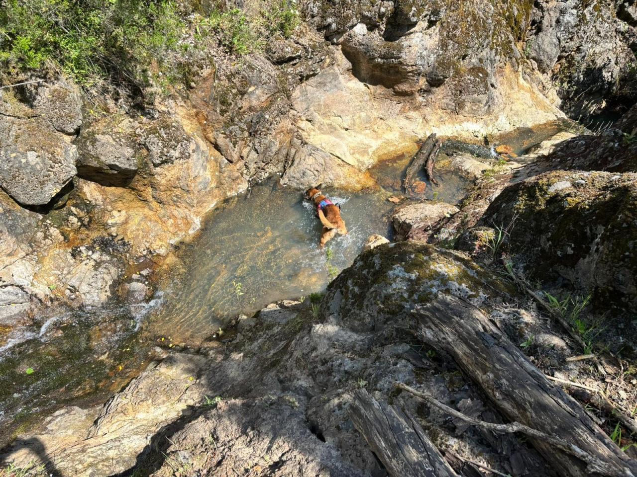 Korhan Berzeg ile ilgili flaş gelişme! Aranan parça bulundu