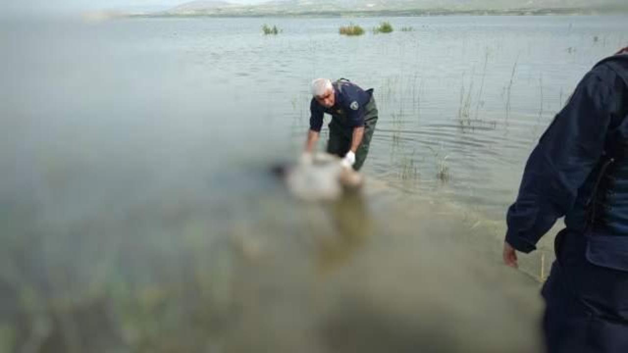 Kayıp olarak aranıyordu, baraj gölünde cesedi bulundu