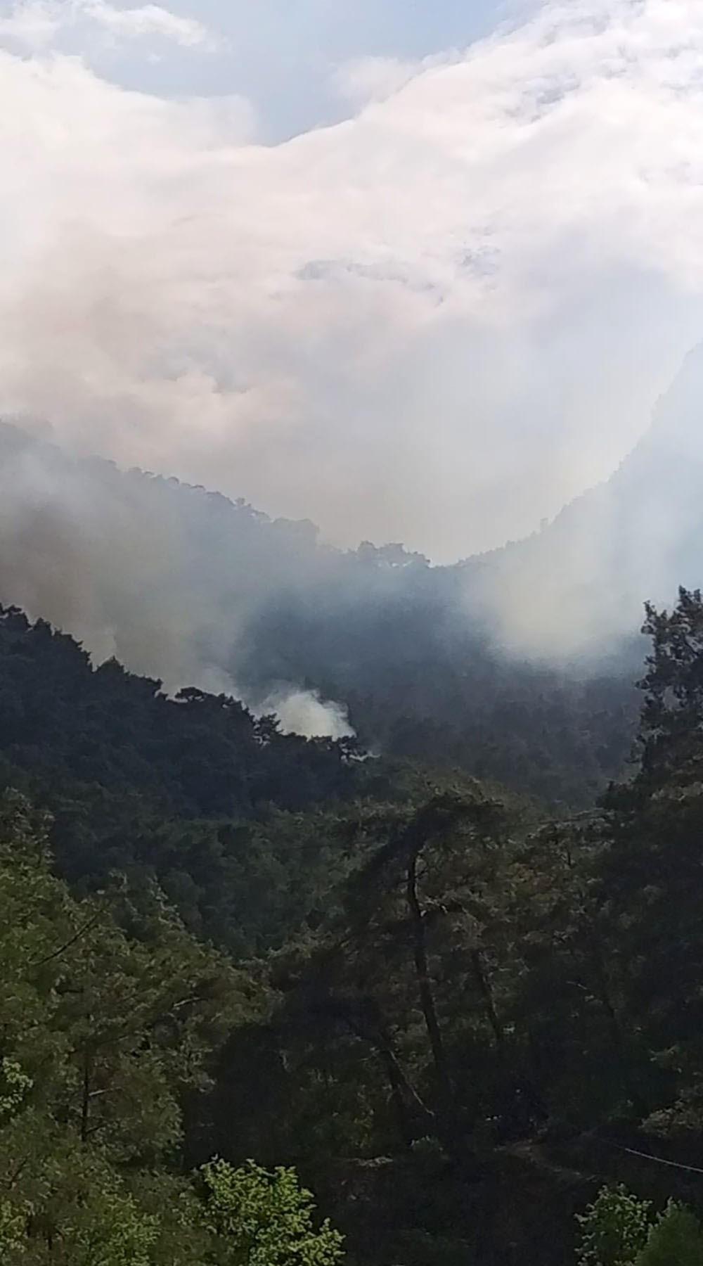 Antalya'da orman yangını! Çok sayıda ekip harekete geçti