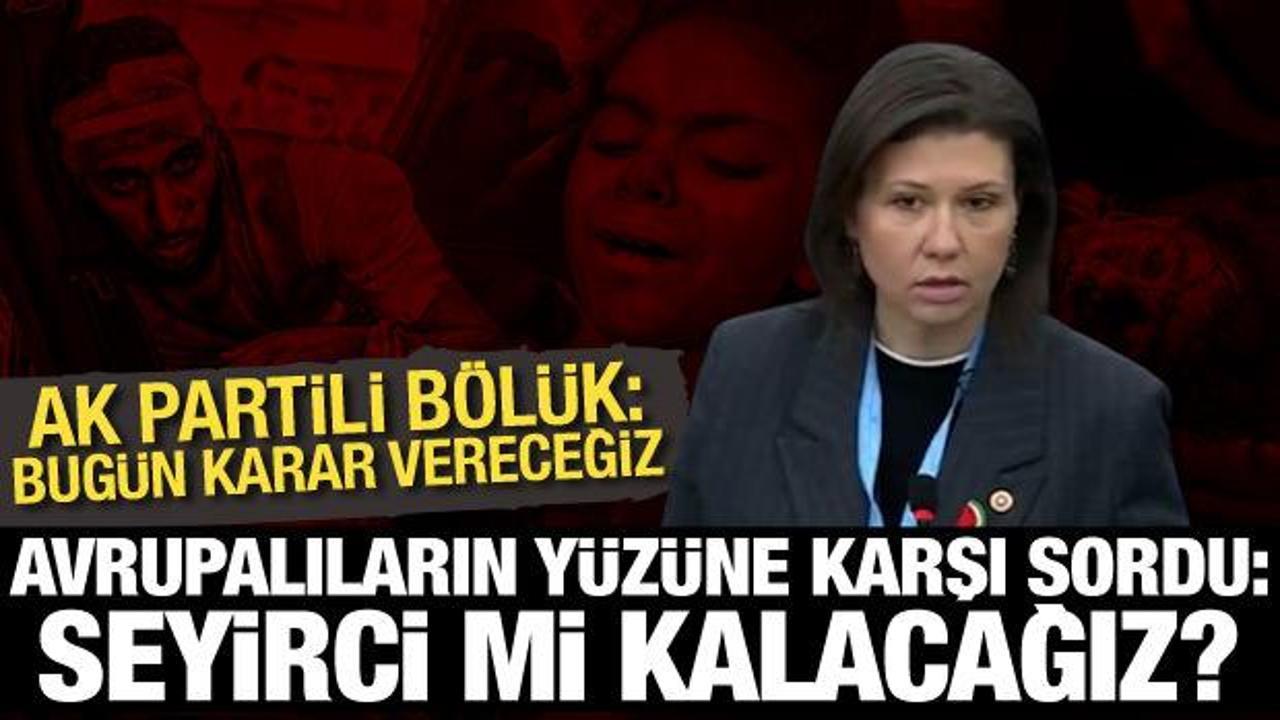 AK Partili Bölük, AKPM’de parlamenterlerin yüzüne söyledi: Seyirci mi kalacağız?
