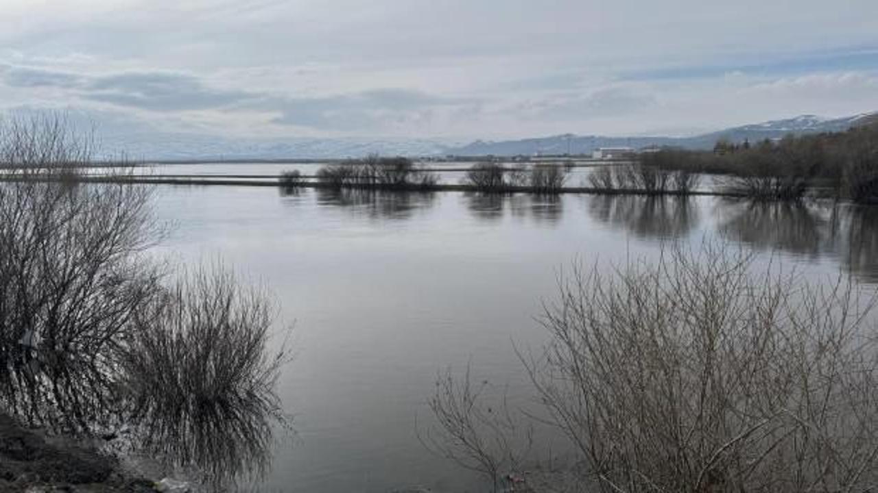 Ardahan’da Kura Nehri taştı