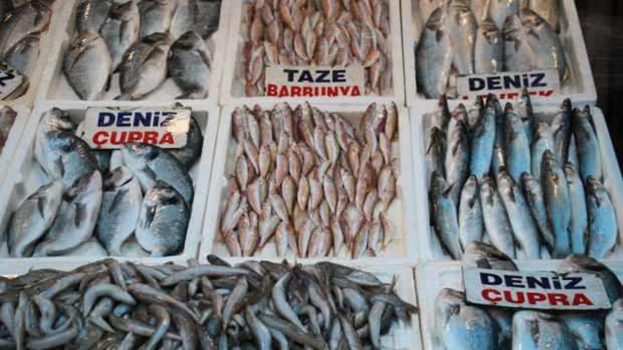 Av yasağının başlamasıyla balık çeşitliliği azaldı!