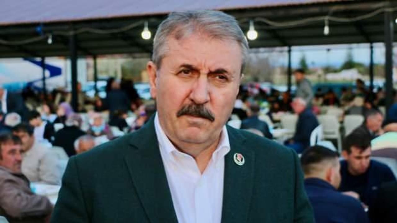 Destici, yolda sokak köpeği görünce verdiği tepkiyi anlattı