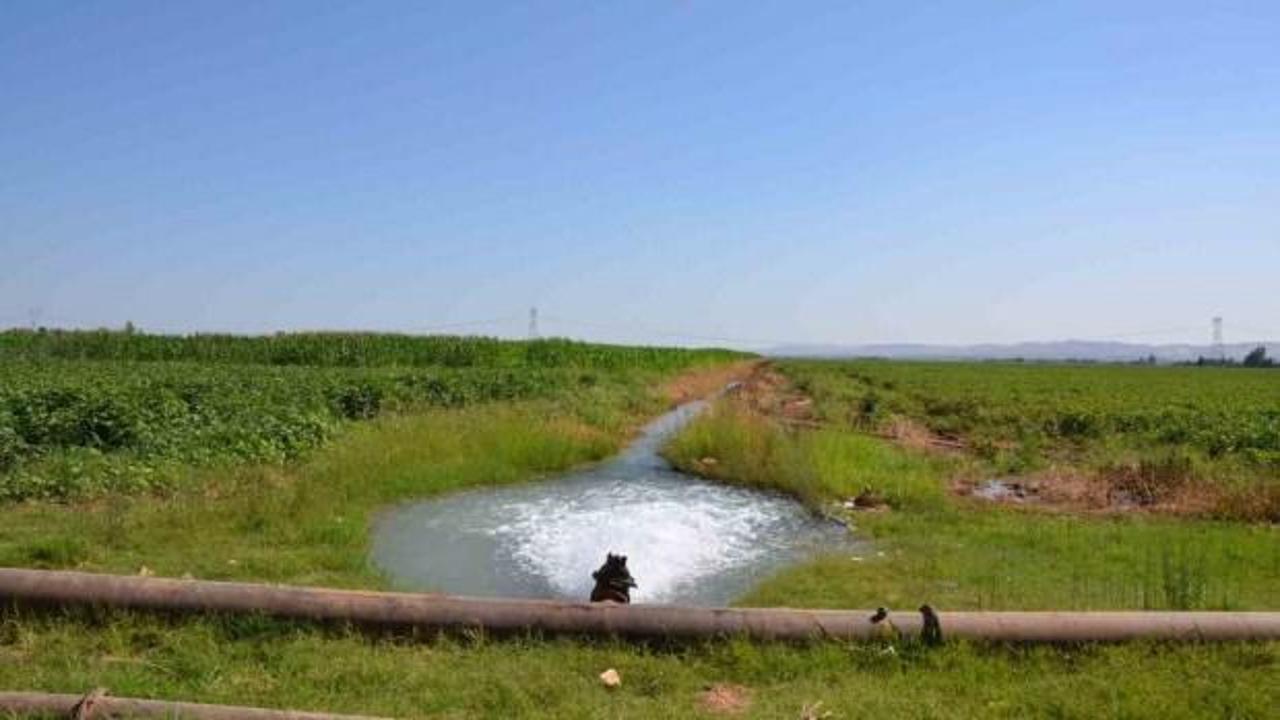 Dicle Elektrikten tarımsal sulama abonelerine borç uyarısı!