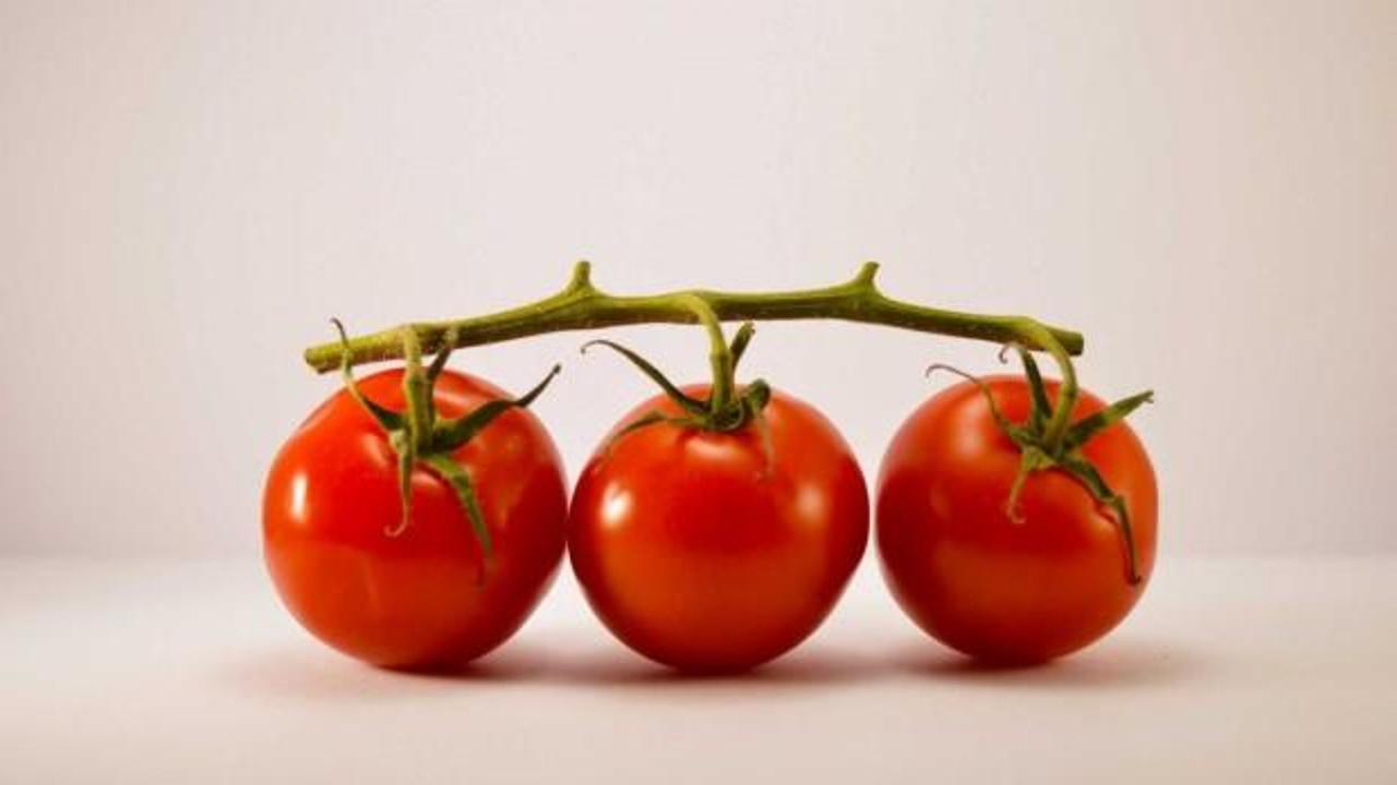 Domateslerde “paralel evren” bulundu!