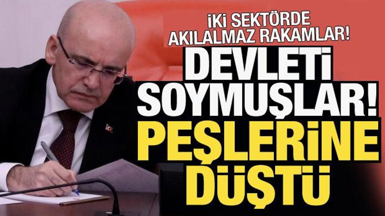 İki sektörde akıl almaz rakamlar! Devleti soymuşlar, maliye peşlerine düştü