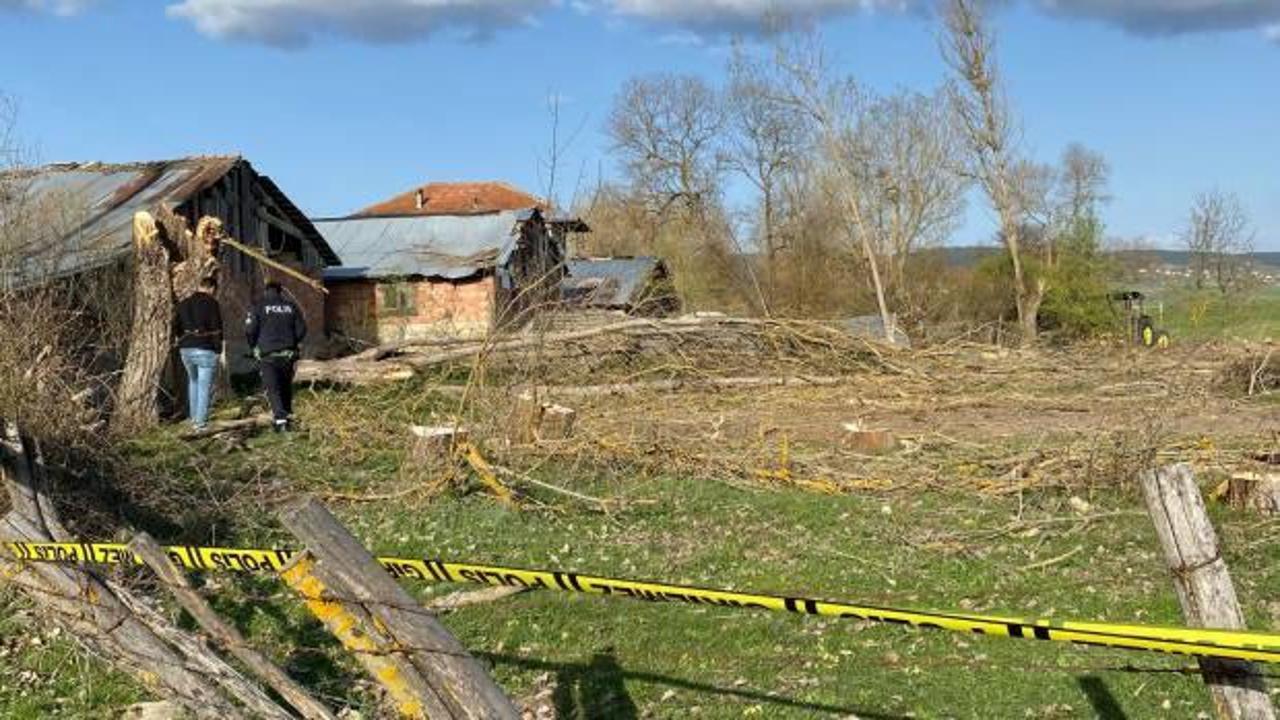 Kestiği ağacın altında kalan kişi öldü