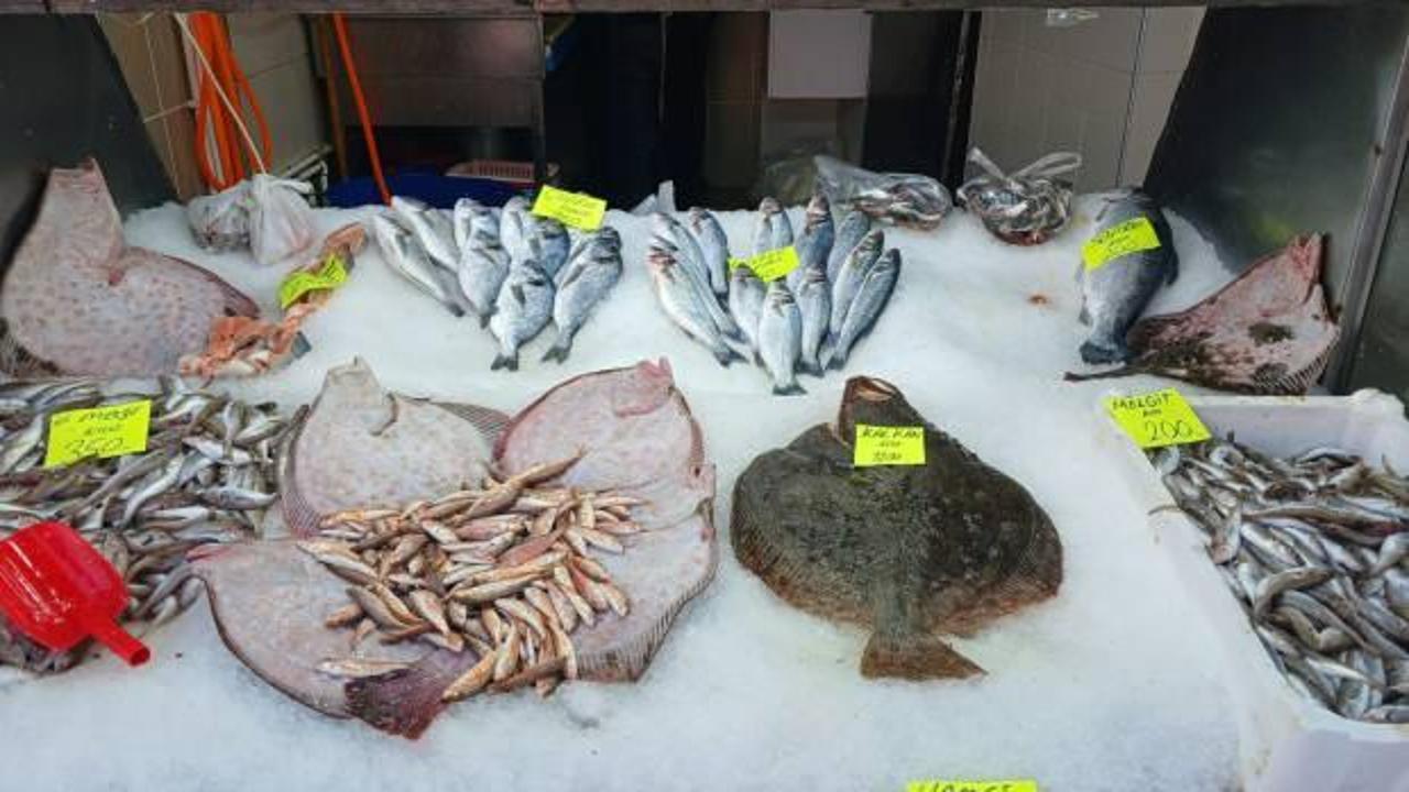 Kilosu 1200 liradan tezgaha indi, ilgi odağı oldu