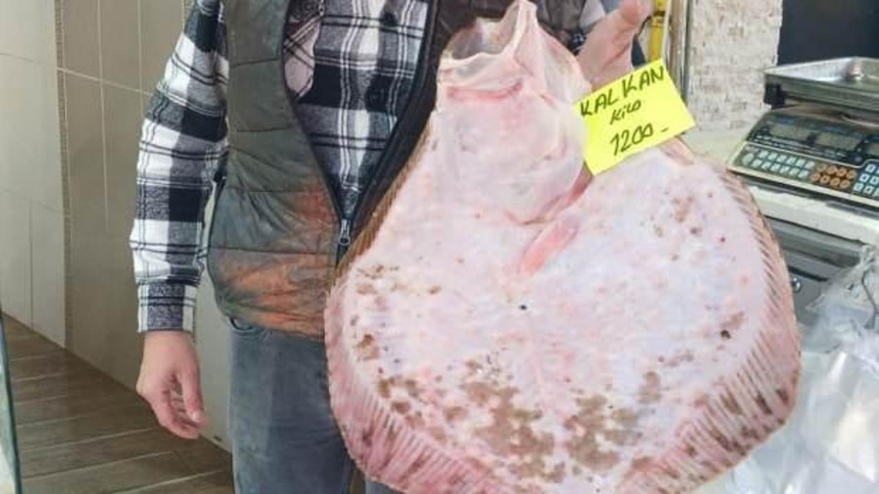 Kilosu bin 200 liradan tezgaha indi, ilgi odağı oldu