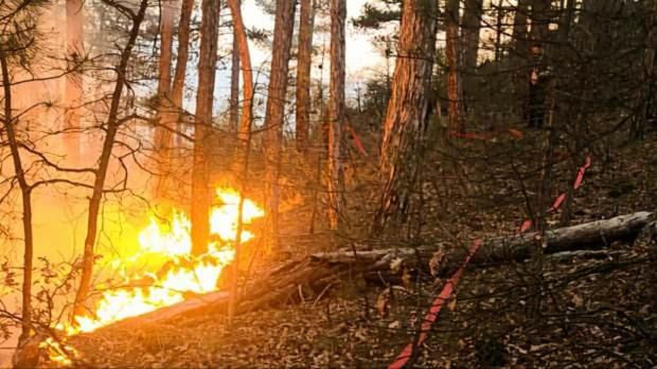 Kütahya’da orman yangını