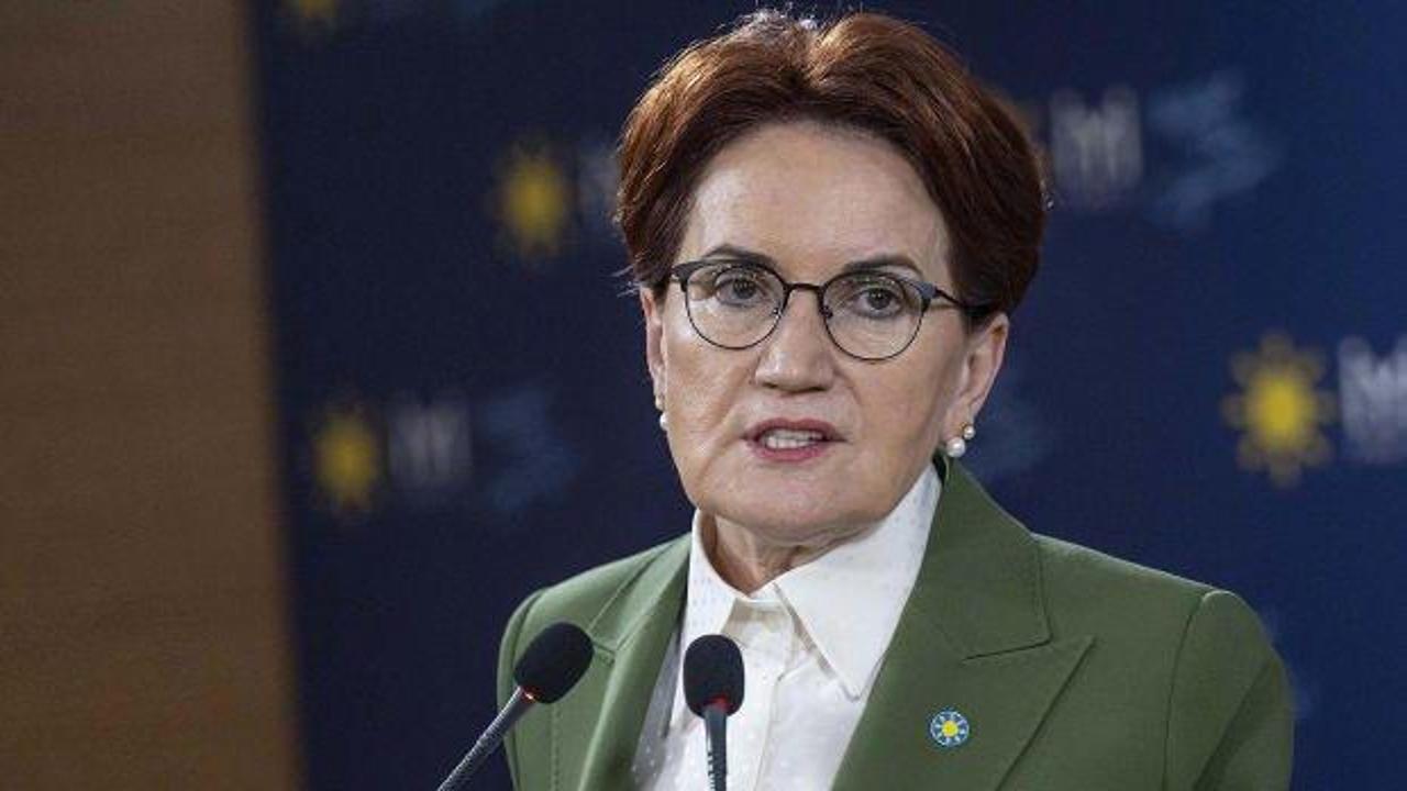 Meral Akşener AVM gezisinde görüntülendi