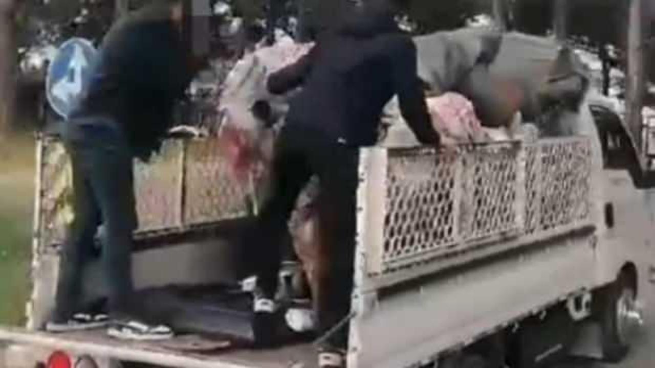 Polis hurdacı kılığına girdi, uyuşturucu tacirine operasyon yaptı