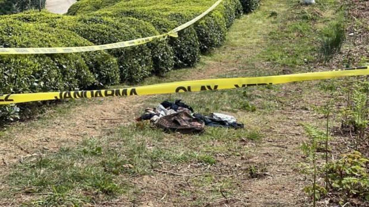 Rize’de çay bahçesinde erkek cesedi bulundu