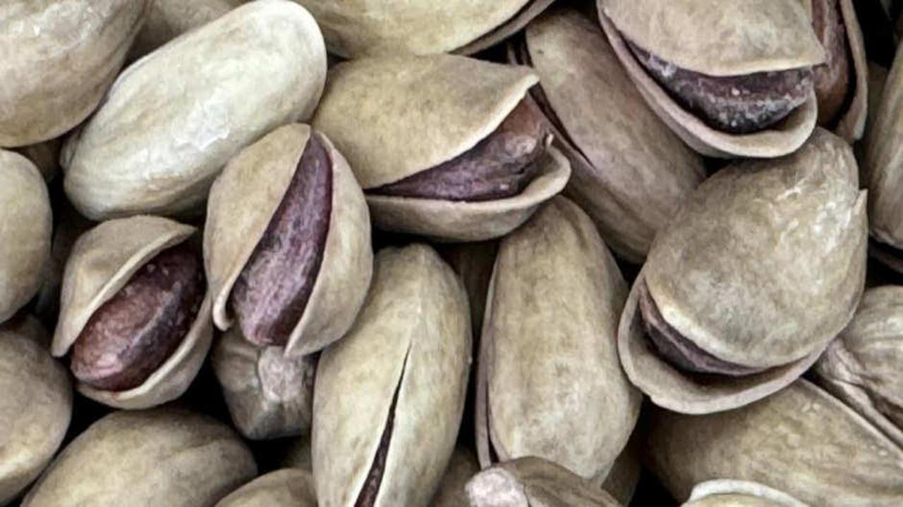 Türkiye’den 73,8 milyon dolarlık fıstık ihracatı