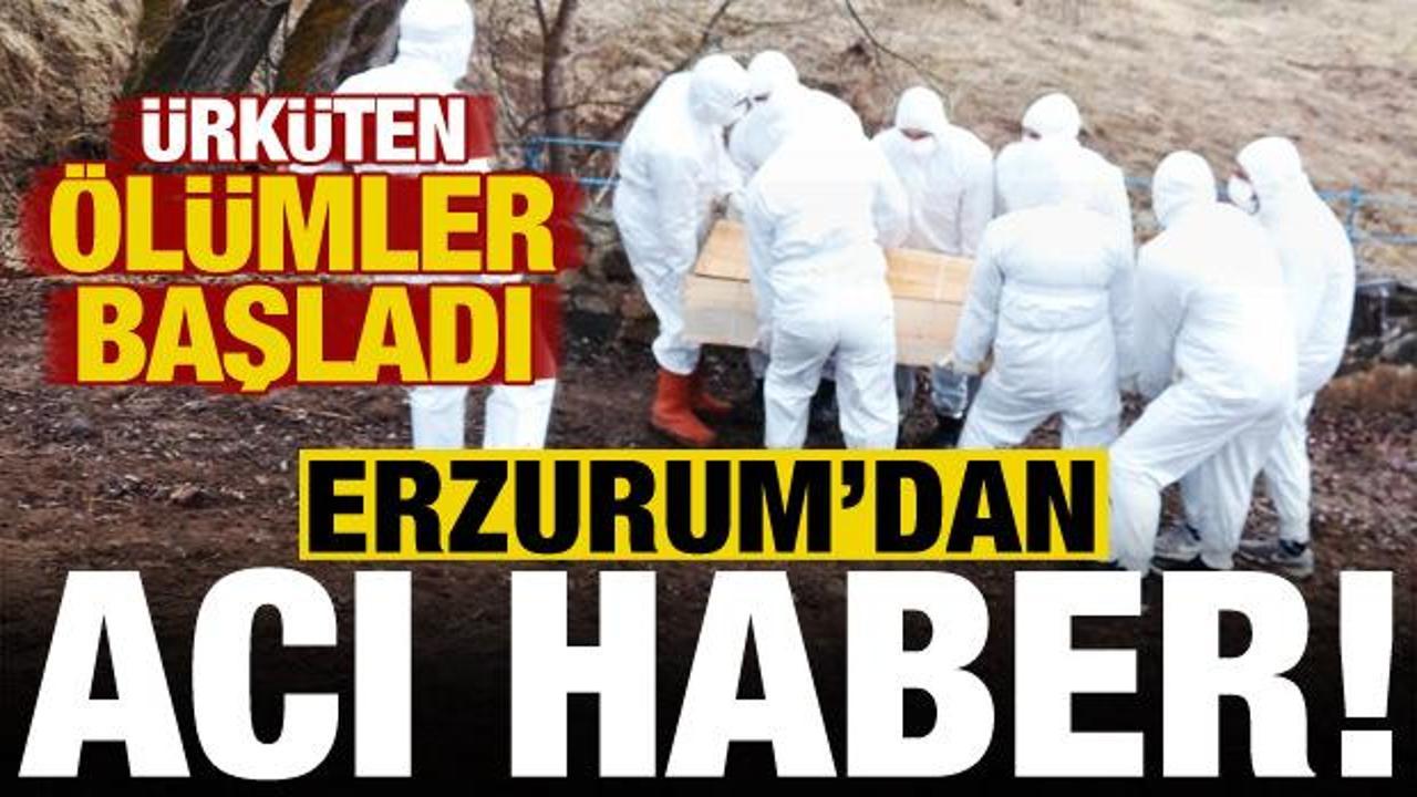 Ürküten ölümler başladı: Acı haber Erzurum’dan!