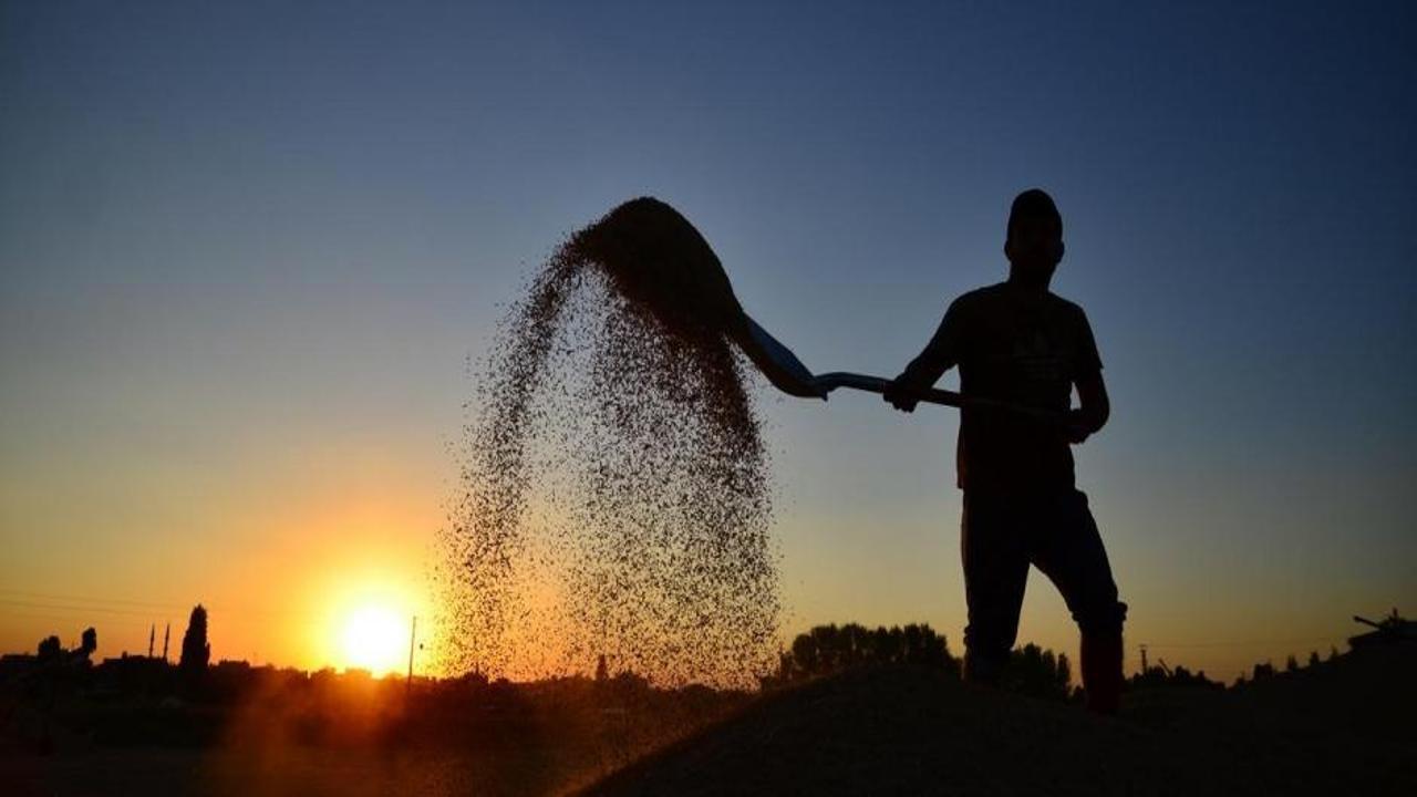 212 ülkeye 31 milyar dolarlık ihracat! Bakan Yumaklı açıkladı