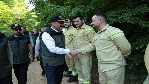 Zonguldak’ta kestane ağaçlarını korusun diye 600 yırtıcı böcek doğaya salındı