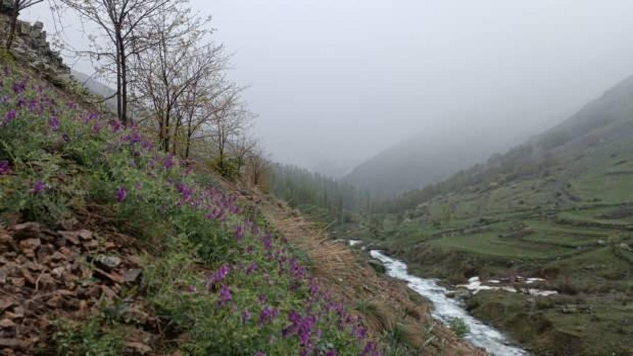 Erzurum’da mayıs ayında kar sürprizi