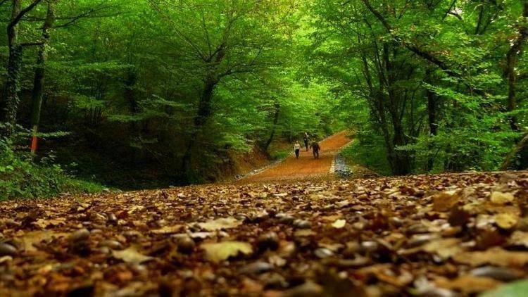 Aynı kentte 2 kilometre mesafede sıcaklık farkı 12 derece!