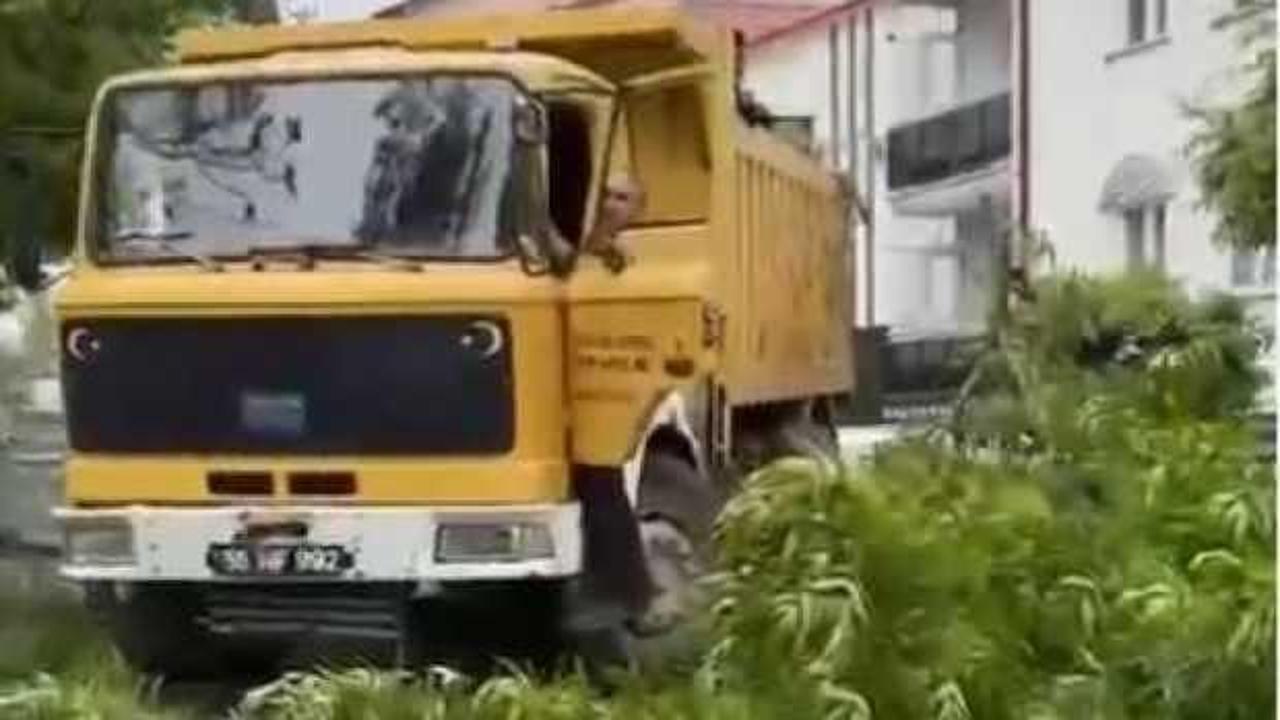 Sivas’ta kuvvetli rüzgar ağaçları devirdi