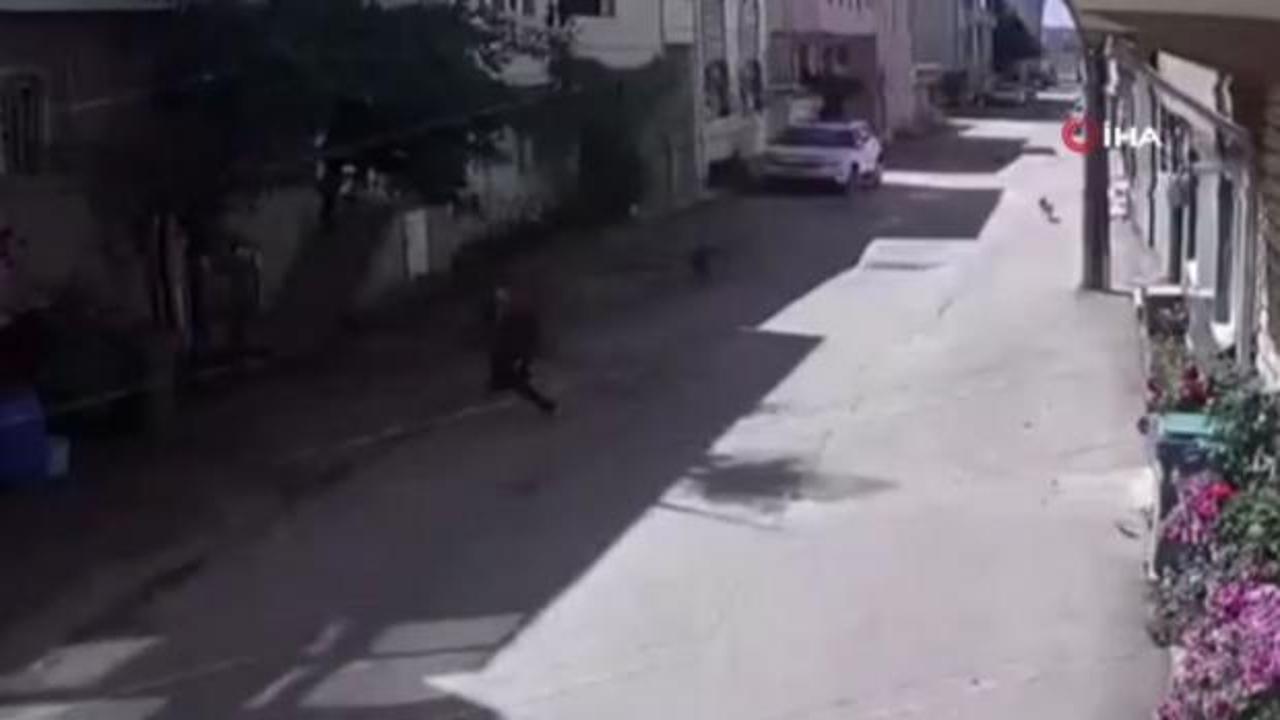 Bursa’da 3 sokak köpeği 3 çocuğa saldırdı: Hastaneye kaldırıldılar!