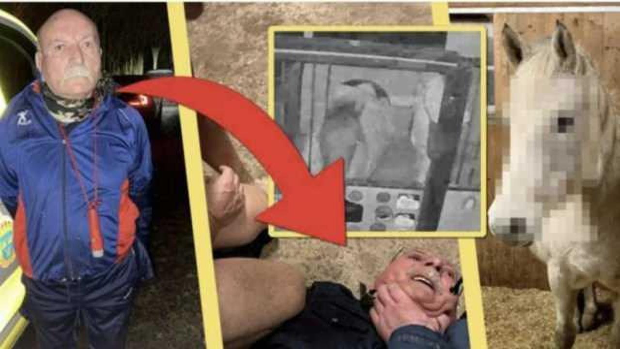 Ata tecavüz eden PKK’lı Türkiye’de bakın hangi mevkide bulunmuş!