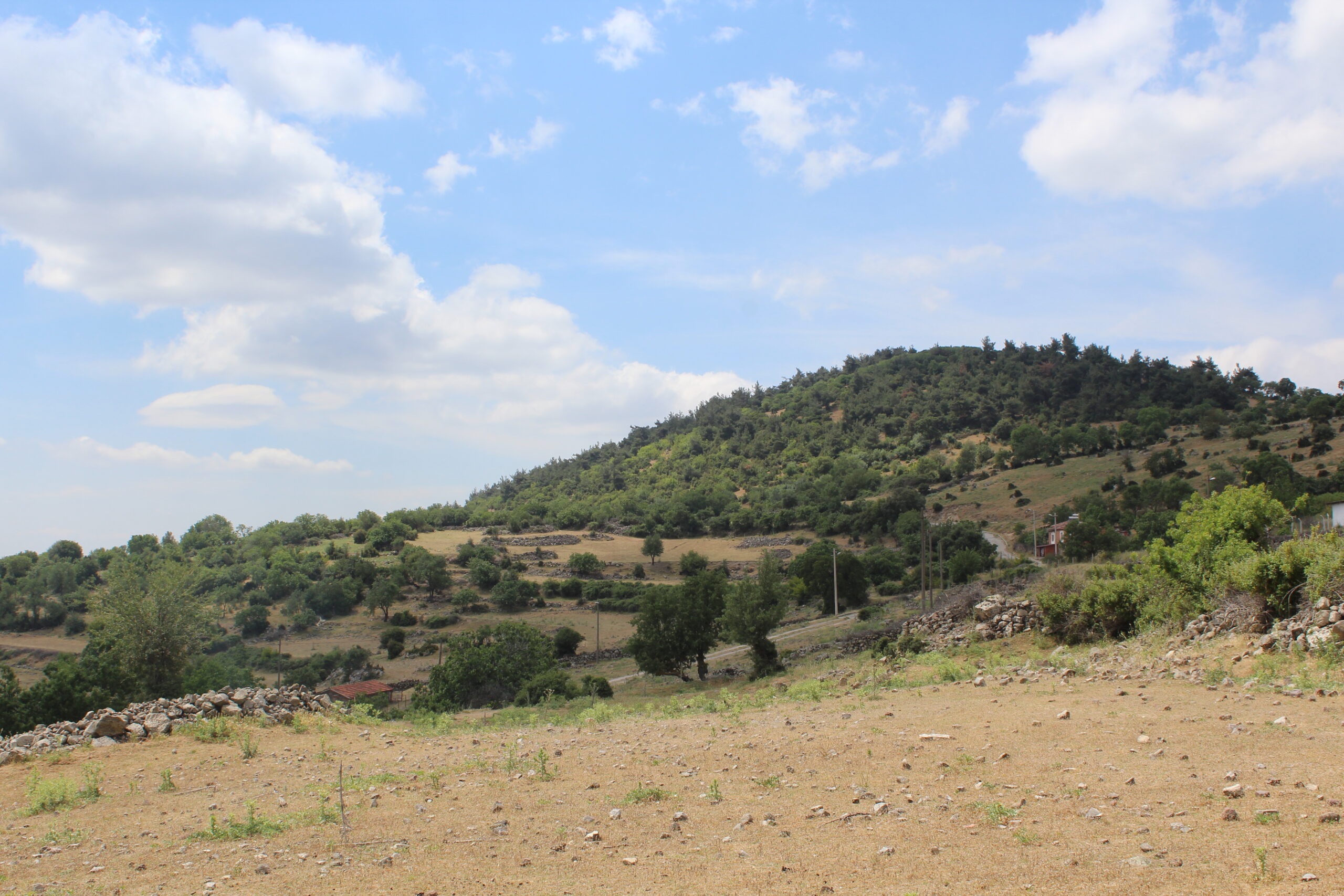 Erfa Arsa ile KGS’nin Yayılımı: Burhaniye’den Ege’ye Üretimin Yeni Rota’sı
