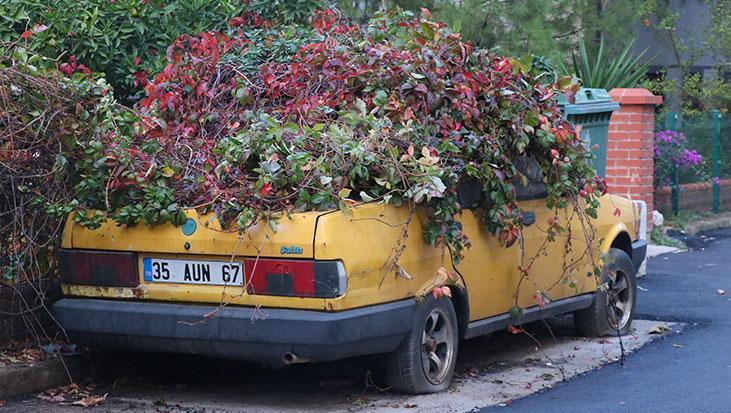 İzmir’de 8 Yıldır Sarmaşıklarla Kaplı Terk Edilmiş Otomobil Kaldırıldı