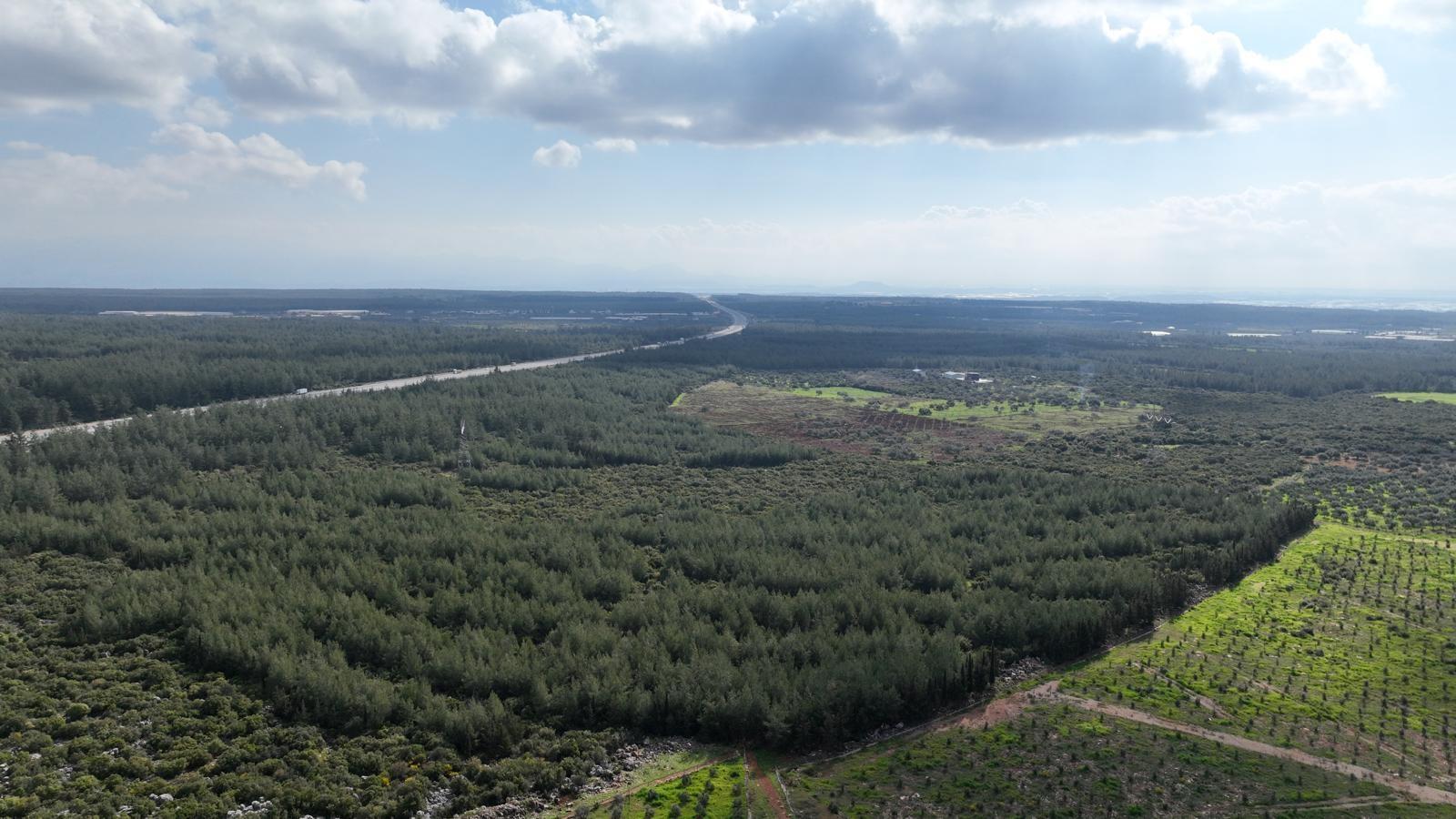 81 İlde 81 Orman Projesi Antalya’da 20 Bin Fidanla Devam Ediyor