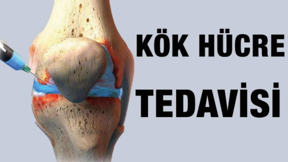 Doktor Ahmet Özyazgan: “Kök Hücre Tedavisi Ortopedide Tedavi Anlayışını Yeniden Tanımlıyor”