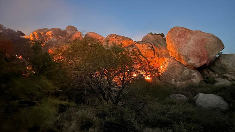 ARIZONA’DA YANGIN DEHŞETİ: TAHLİYE ÇANLARI ÇALIYOR