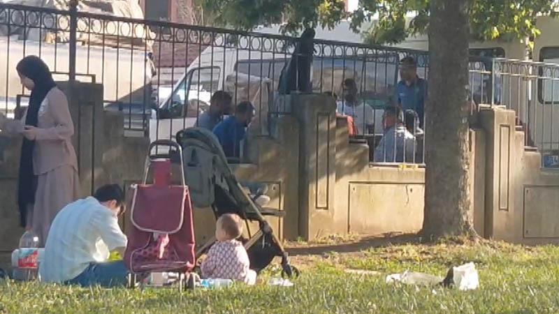 Parkta Mangal Yapanlara Ceza: Duman Şikayeti Üzerine Polis Müdahalesi