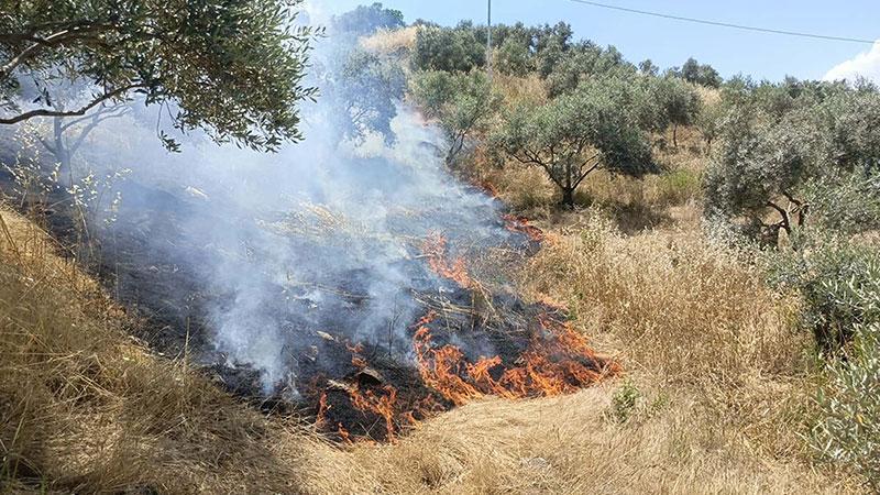 Yenipazar’da makilik alanda yangın: 40 dekar alan zarar gördü