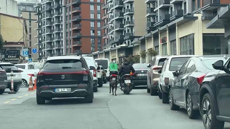 Kağıthane’de Köpeğini Motosikletin Peşinden Koşturan Şahsa 8 Bin 678 Lira Ceza